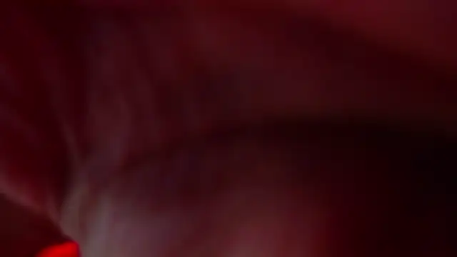 hanna rabbit  online show from 27, 9, 2025