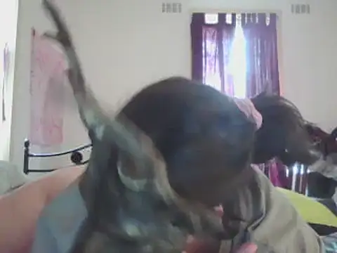 ellieXXXbaby online show from 14, 12, 2024