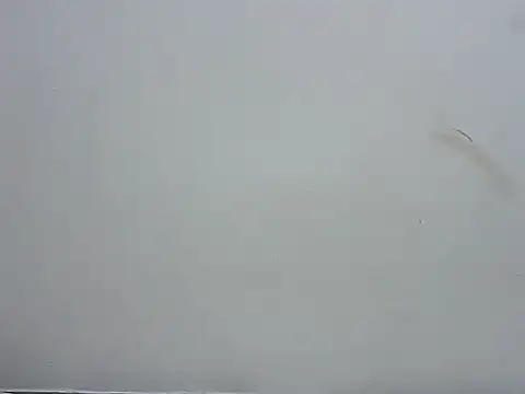 Snapshot of prettybeee chatting on 4, 11, 2025 prettybeee online show from 4, 11, 2025