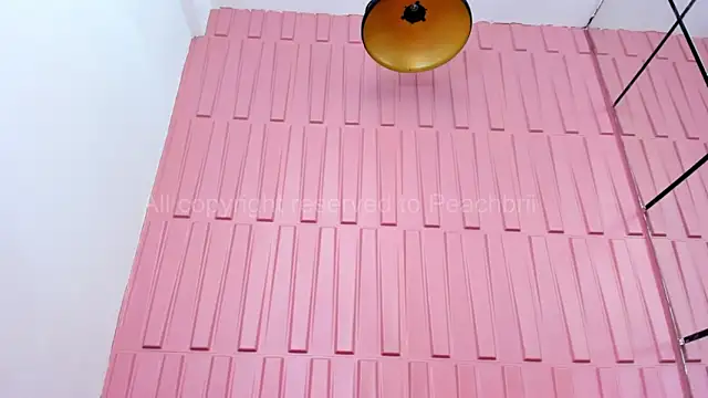 Snapshot of Briana_Wells_ chatting on 6, 10, 2025 Briana Wells online show from 6, 10, 2025