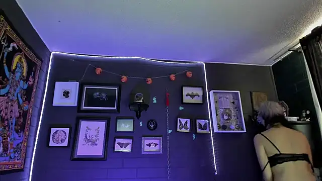 insania 9999  online show from 28, 11, 2025