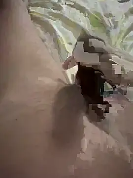 papi88 online show from 6, 3, 2026