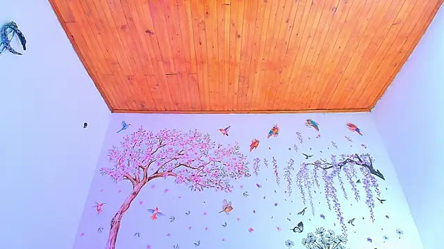 Sofiia Diiaz online show from 21, 9, 2025