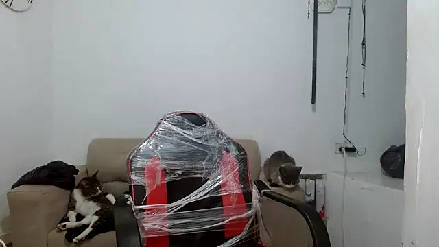 angelamarie1 online show from 29, 9, 2025