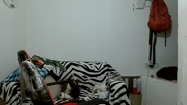 Snapshot of angelamarie1 chatting on 20, 12, 2025 angelamarie1 online show from 20, 12, 2025