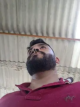 isearchcompany online show from 25, 10, 2025