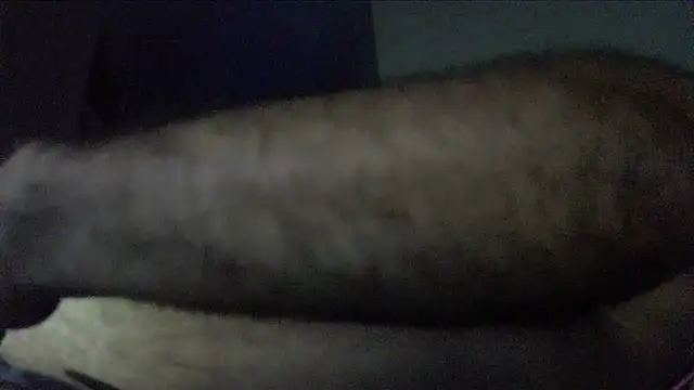 crazyslapper online show from 4, 2, 2026