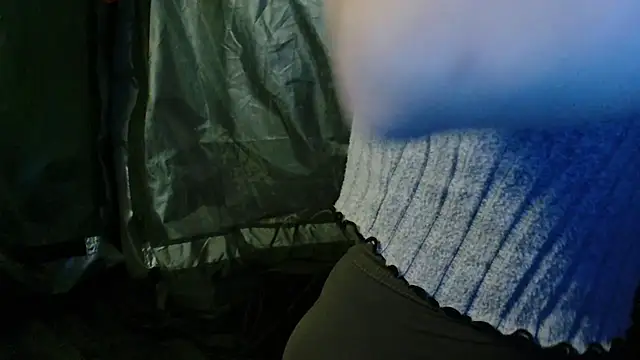 MINI Petite online show from 16, 7, 2026