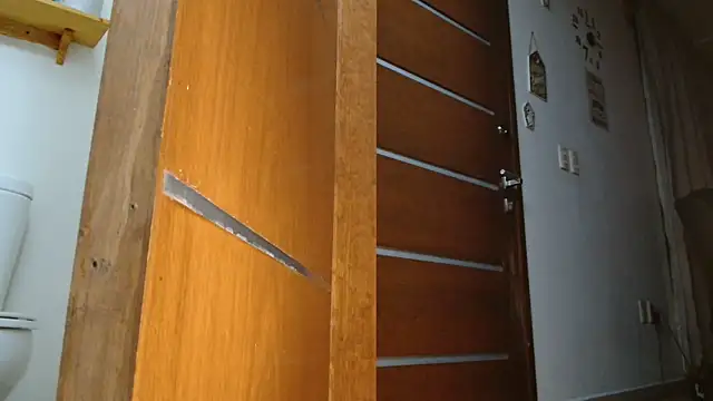 Snapshot of MINI_Petite chatting on 16, 11, 2025 MINI Petite online show from 16, 11, 2025