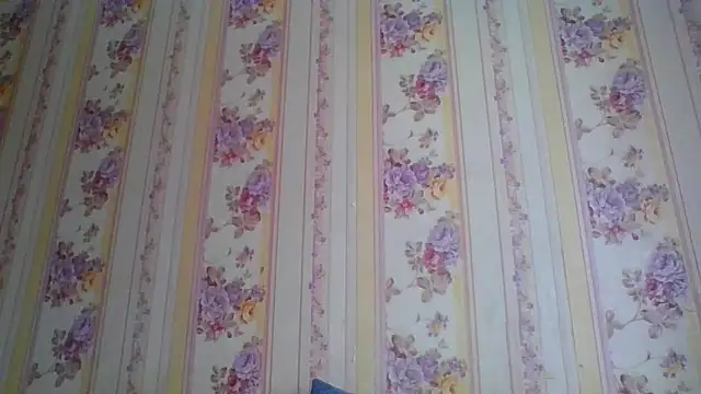 Snapshot of Skills_ chatting on 5, 12, 2024 Skills online show from 5, 12, 2024