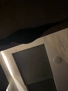 CeliWoods online show from 20, 9, 2025