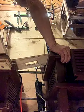 Likewise online show from 31, 10, 2025