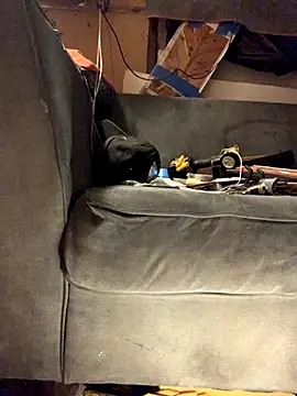 Likewise online show from 21, 11, 2025