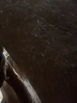 Likewise online show from 24, 11, 2025