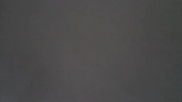 stellin online show from 21, 6, 2026