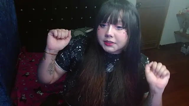 litlle cat online show from 11, 10, 2025