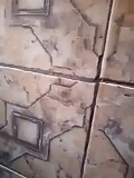 121fff online show from 14, 11, 2025