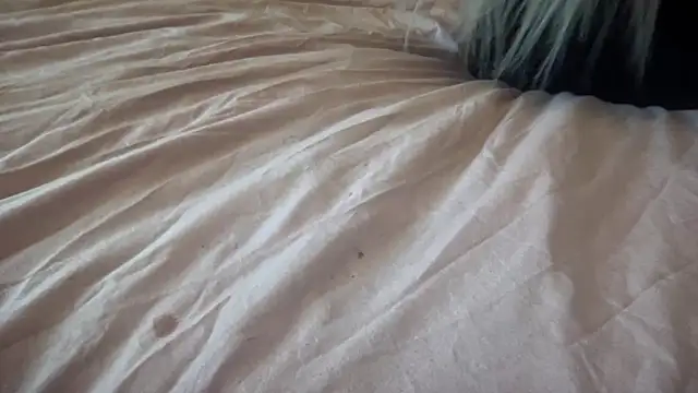 Snapshot of Bustyblondebabe32 chatting on 30, 9, 2025 Bustyblondebabe32 online show from 30, 9, 2025