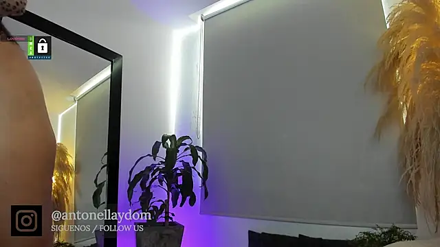 antonella dom1 online show from 7, 1, 2026