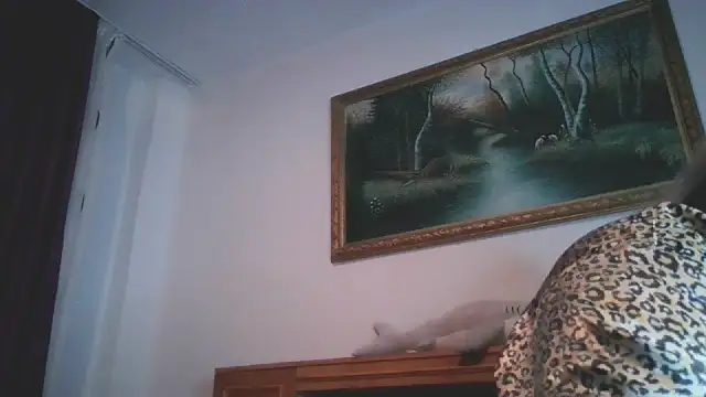 nicholle online show from 30, 12, 2024