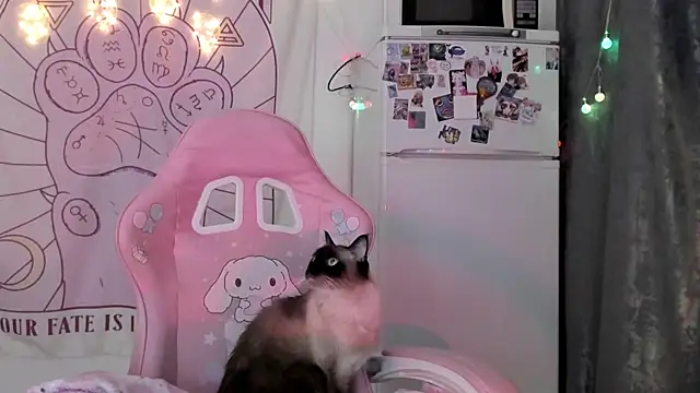 Holy420lolii online show from 18, 1, 2026