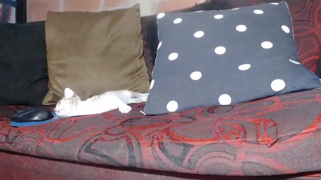 DevoraAmateur online show from 22, 2, 2026