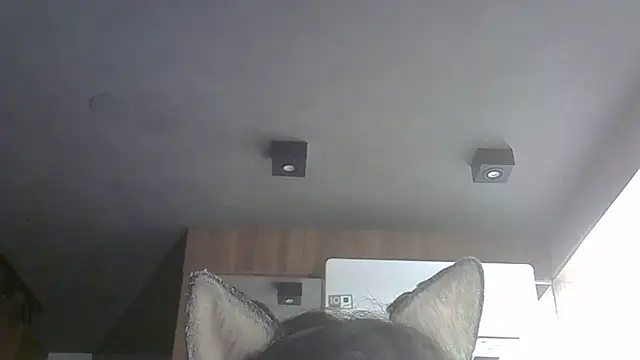 Skinny-Kitten online show from 27, 10, 2025