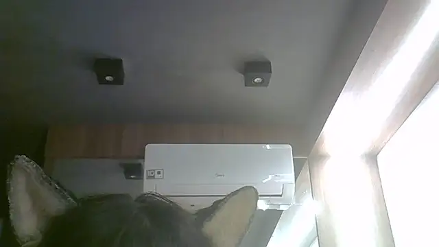 Snapshot of Skinny-Kitten chatting on 17, 6, 2026 Skinny-Kitten online show from 17, 6, 2026