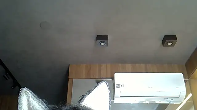 Skinny-Kitten online show from 14, 11, 2025