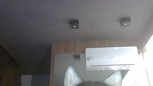 Skinny-Kitten online show from 22, 12, 2025