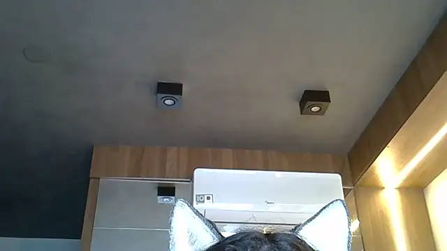 Skinny-Kitten online show from 1, 11, 2025