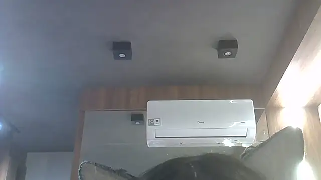 Skinny-Kitten online show from 15, 1, 2026