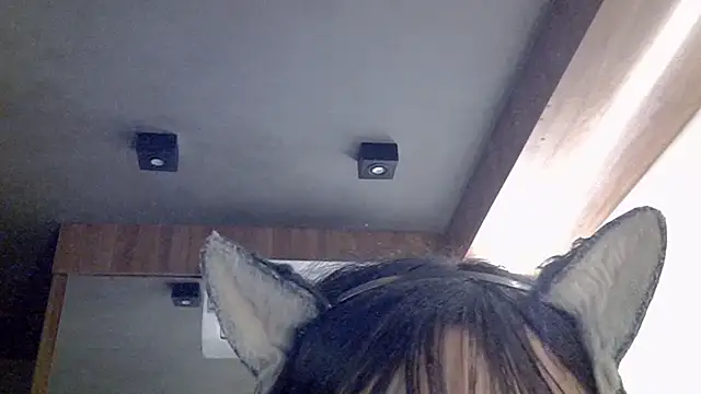 Skinny-Kitten online show from 1, 3, 2026