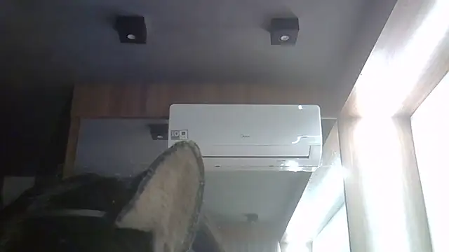 Snapshot of Skinny-Kitten chatting on 27, 6, 2026 Skinny-Kitten online show from 27, 6, 2026