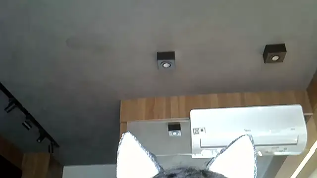 Skinny-Kitten online show from 9, 11, 2025