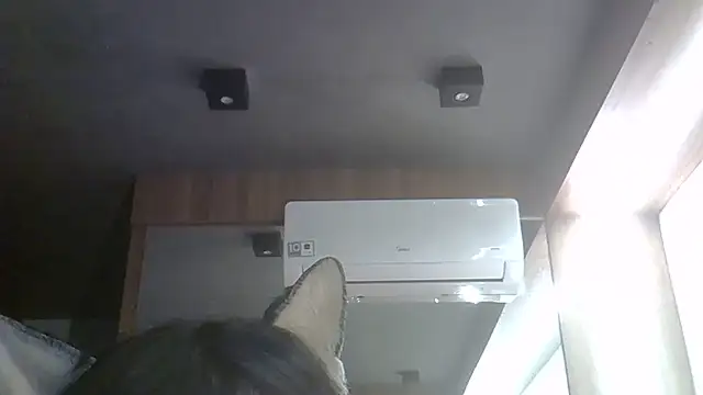 Skinny-Kitten online show from 30, 5, 2026