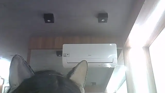 Snapshot of Skinny-Kitten chatting on 4, 6, 2026 Skinny-Kitten online show from 4, 6, 2026