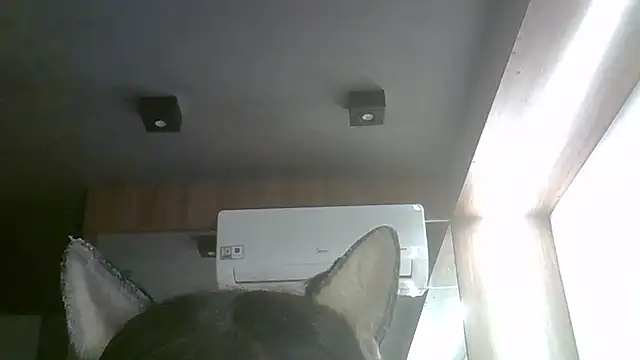 Skinny-Kitten online show from 4, 5, 2026