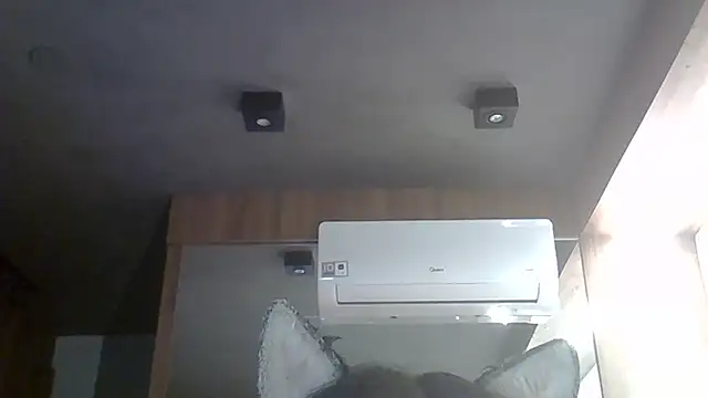 Skinny-Kitten online show from 5, 1, 2026