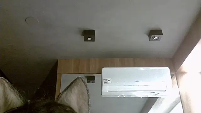 Skinny-Kitten online show from 5, 11, 2025