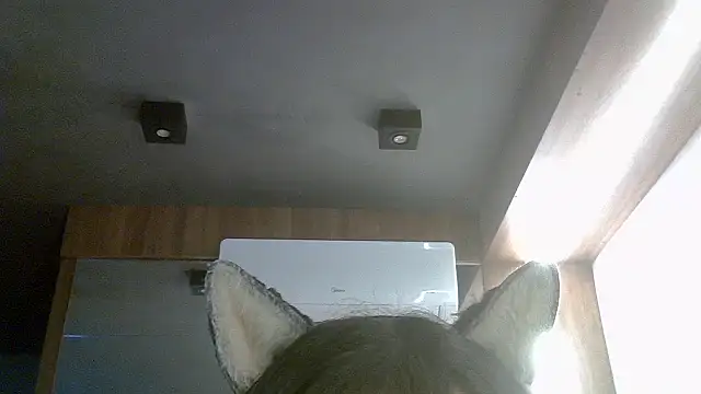 Snapshot of Skinny-Kitten chatting on 16, 7, 2026 Skinny-Kitten online show from 16, 7, 2026