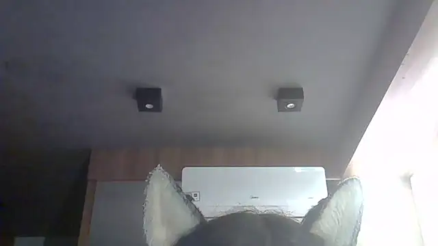 Snapshot of Skinny-Kitten chatting on 14, 3, 2026 Skinny-Kitten online show from 14, 3, 2026