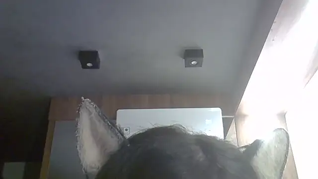 Snapshot of Skinny-Kitten chatting on 9, 4, 2026 Skinny-Kitten online show from 9, 4, 2026