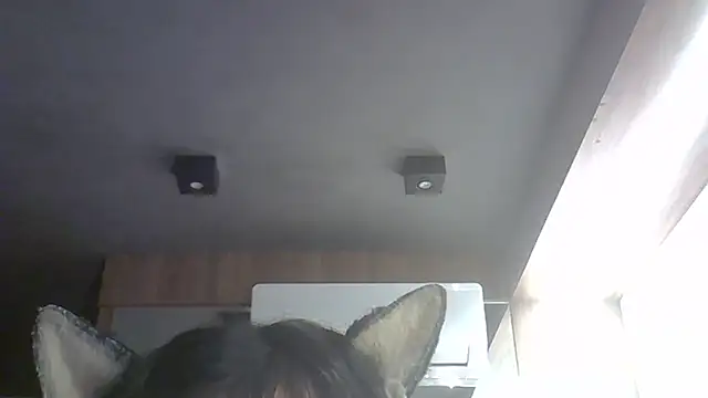 Snapshot of Skinny-Kitten chatting on 30, 3, 2026 Skinny-Kitten online show from 30, 3, 2026