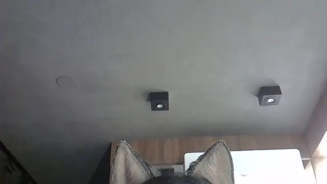 Skinny-Kitten online show from 31, 10, 2025