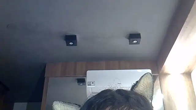 Snapshot of Skinny-Kitten chatting on 27, 6, 2026 Skinny-Kitten online show from 27, 6, 2026