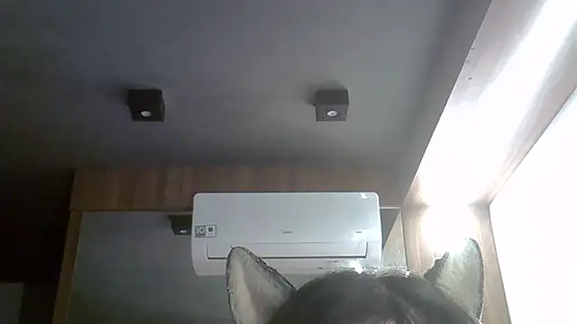 Snapshot of Skinny-Kitten chatting on 3, 4, 2026 Skinny-Kitten online show from 3, 4, 2026