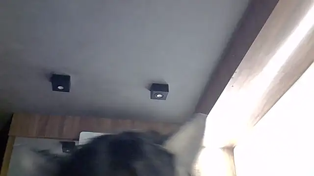 Snapshot of Skinny-Kitten chatting on 30, 3, 2026 Skinny-Kitten online show from 30, 3, 2026