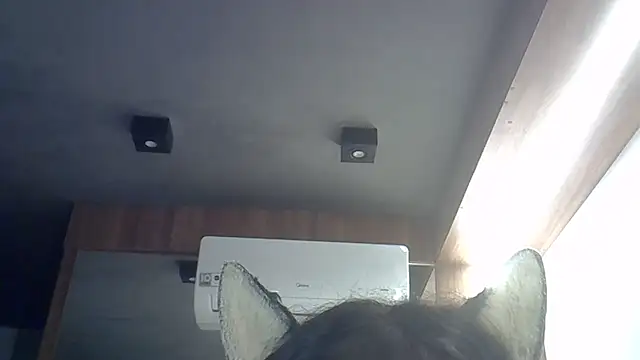 Snapshot of Skinny-Kitten chatting on 8, 4, 2026 Skinny-Kitten online show from 8, 4, 2026