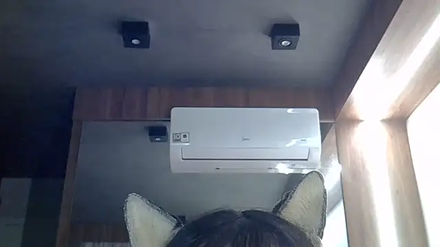 Snapshot of Skinny-Kitten chatting on 26, 6, 2026 Skinny-Kitten online show from 26, 6, 2026
